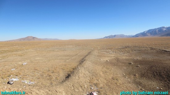 کافترِ هچنان تشنه...+عکس کافترِ هچنان تشنه...+عکس