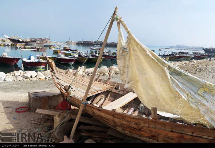 پیرمردی که به تنهایی «بلم» می سازد + تصاویر پیرمردی که به تنهایی «بلم» می سازد + تصاویر