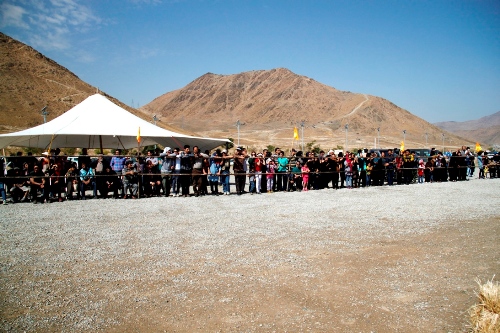 گزارش تصویری دومین همایش زیبایی اسب در اراک