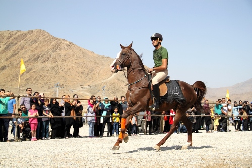 گزارش تصویری دومین همایش زیبایی اسب در اراک