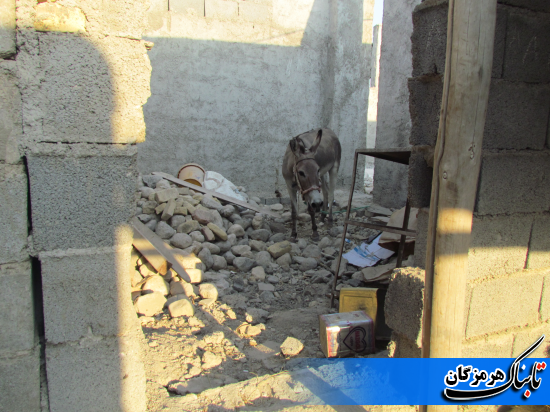 وضعیت نوسازی بافتهای فرسوده در بندرعباس به روایت تصویر وضعیت نوسازی بافتهای فرسوده در بندرعباس به روایت تصویر