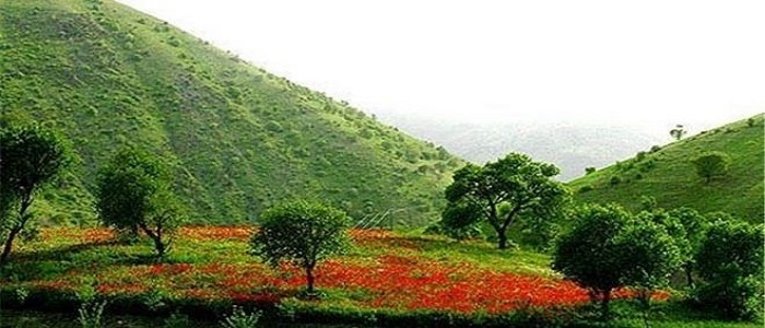 معرفی آثار تاریخی و جاذبه های گردشگری استان لرستان/دریاچه کیو خرم آباد، آبشار آب سفید الیگودرز، دره کهمان الشتر، دریاچه گهر دورود معرفی آثار تاریخی و جاذبه های گردشگری استان لرستان/دریاچه کیو خرم آباد، آبشار آب سفید الیگودرز، دره کهمان الشتر، دریاچه گهر دورود