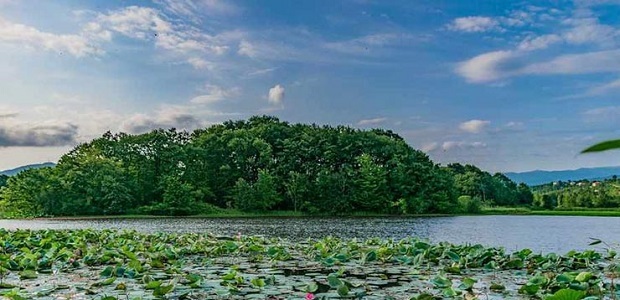 معرفی آثار تاریخی و جاذبه های گردشگری استان گیلان/ماسوله، تالاب انزلی، دیلمان، تالاب سوستان معرفی آثار تاریخی و جاذبه های گردشگری استان گیلان/ماسوله، تالاب انزلی، دیلمان، تالاب سوستان