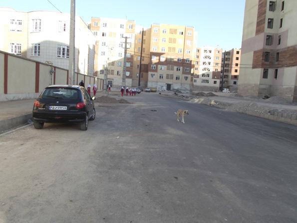 مهرگانی که پر از بی مهریست مهرگانی که پر از بی مهریست