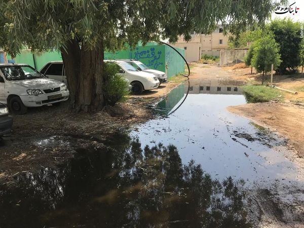 چرا در بیمارستان شهیدمحمدی بندرعباس &laquo;خطر&raquo; پسماندهای بیمارستانی جدی گرفته نمی&zwnj;شود؟