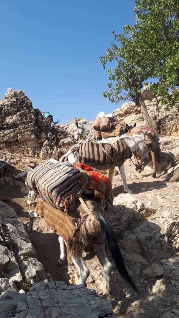 شادی هدیه کانون به کودکان مناطق محروم روستایی بخش سوسن شادی هدیه کانون به کودکان مناطق محروم روستایی بخش سوسن