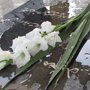 3 هزار و 994 فوتی درسال 98 در آرامستانهای قزوین پذیرش شد 3 هزار و 994 فوتی درسال 98 در آرامستانهای قزوین پذیرش شد