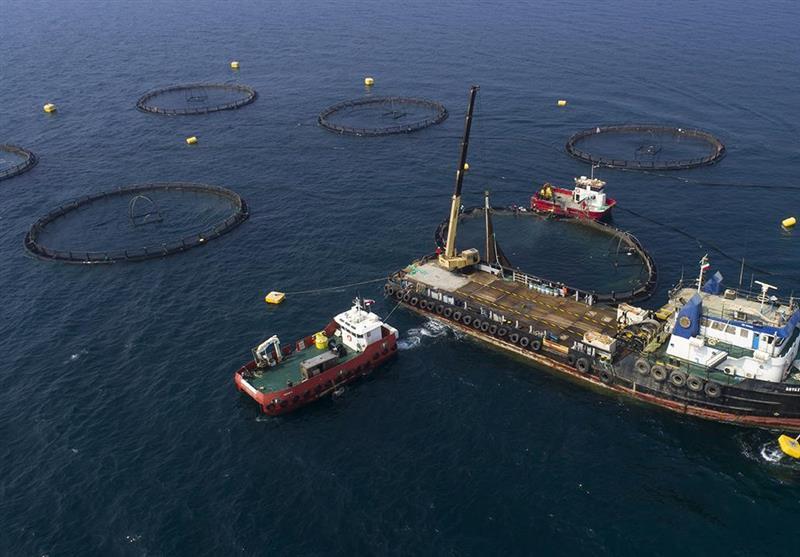 سرمایه&zwnj;گذاری ۷۰۰۰ میلیارد تومانی برای اجرای ۳۰ پروژه اقتصاد مقاومتی در بوشهر