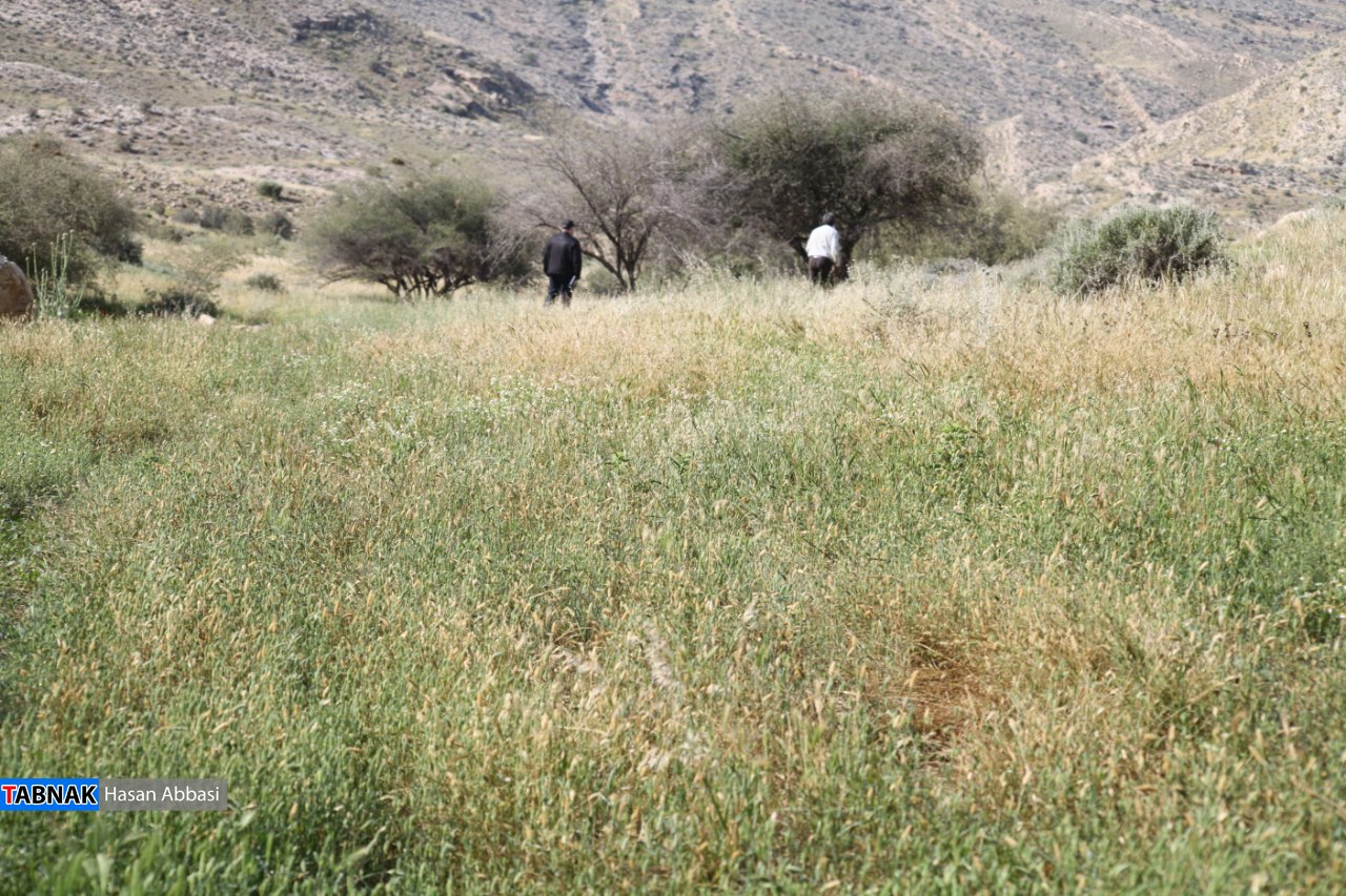 تنگ خلیل تنگ خلیل