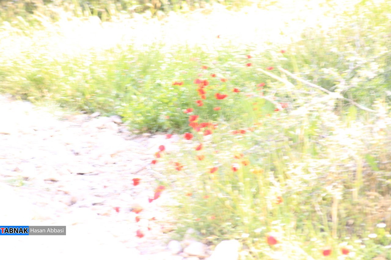 تنگ خلیل تنگ خلیل