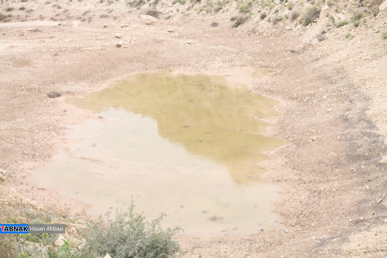 دره شاهی دره شاهی