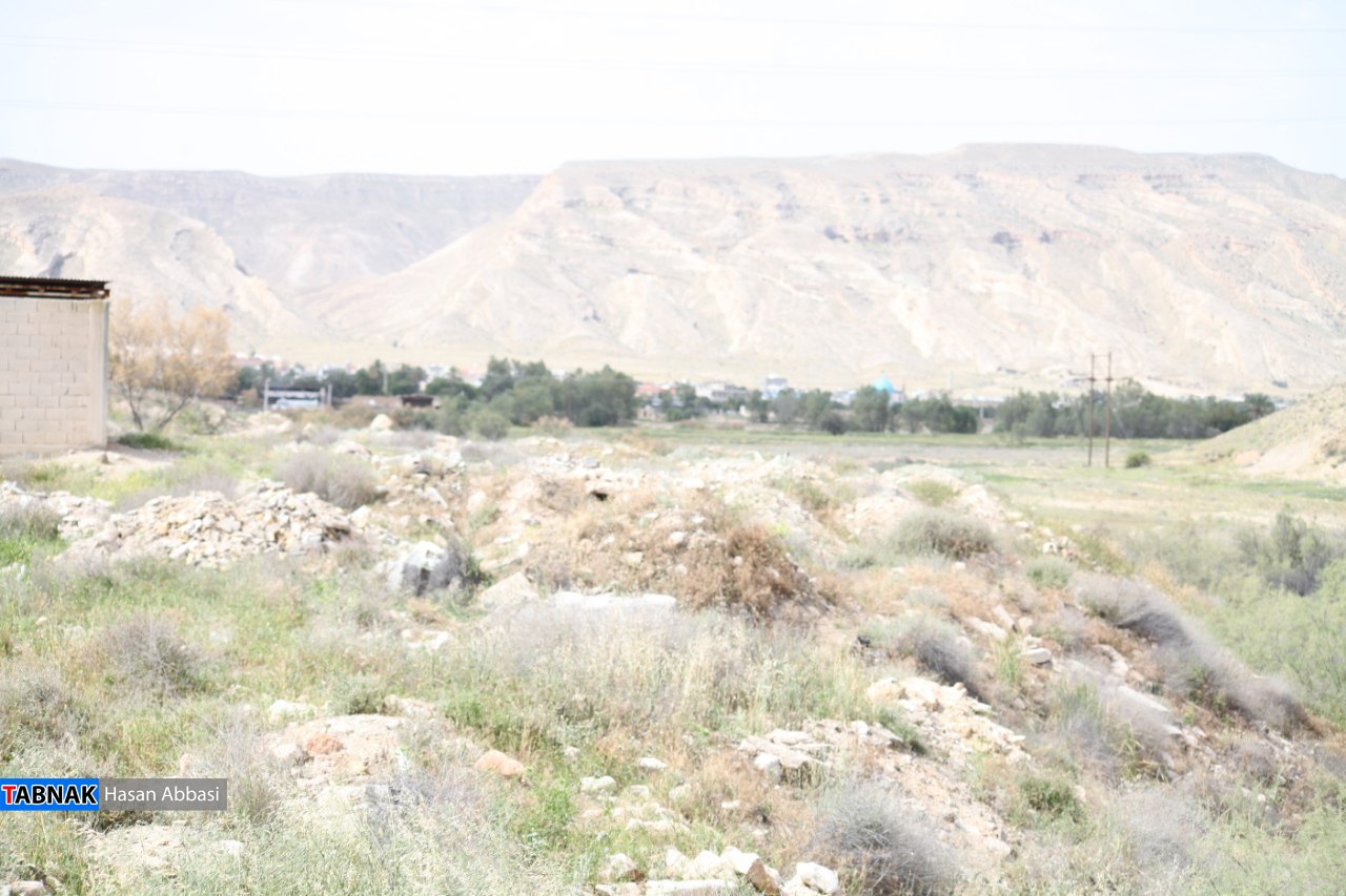 تاکدار تاکدار