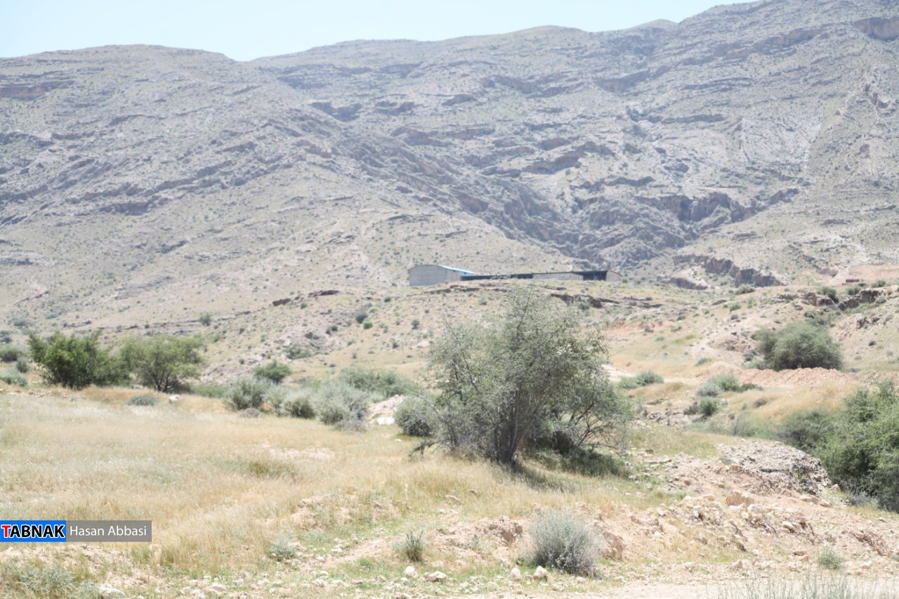 قنات کوره قنات کوره