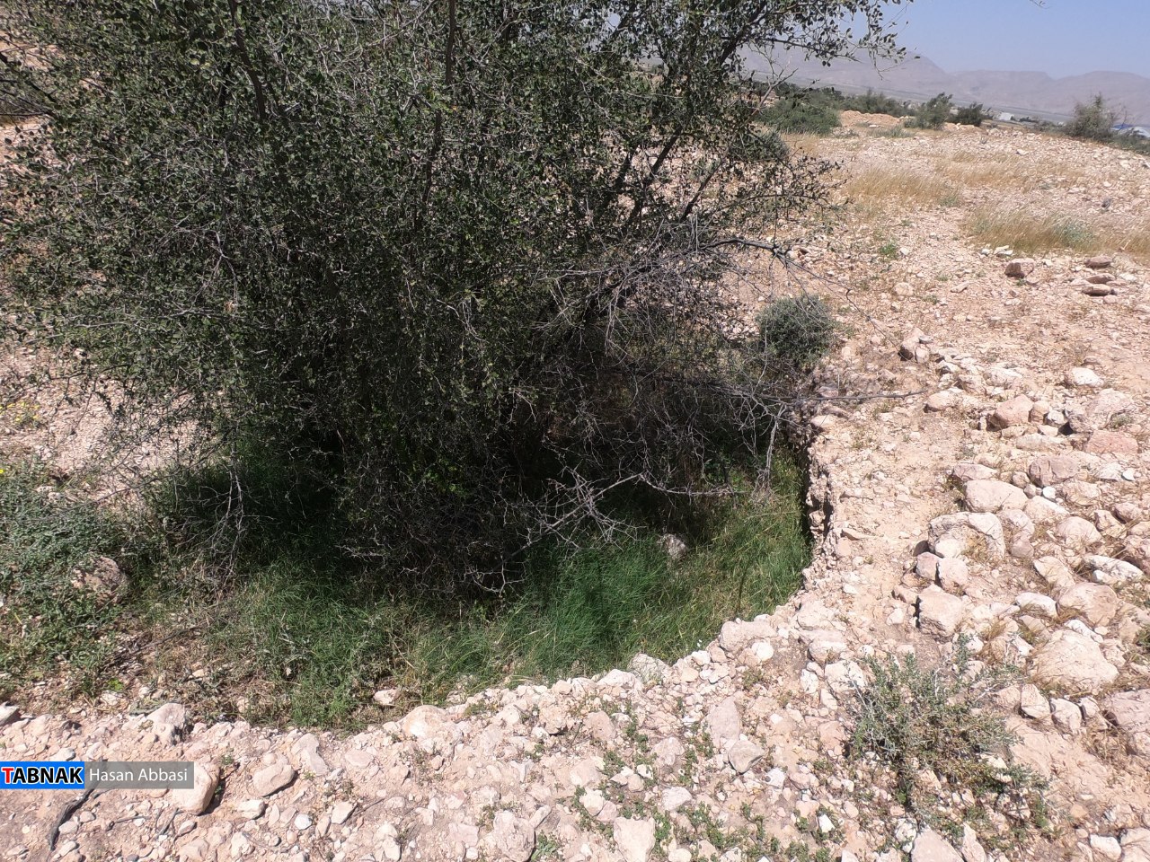 قنات کوره قنات کوره