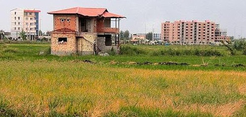 یک پیشهاد راهبردی برای جلوگیری از تغییر کاربری اراضی کشاورزی/ سازنده مجازات شود یک پیشهاد راهبردی برای جلوگیری از تغییر کاربری اراضی کشاورزی/ سازنده مجازات شود