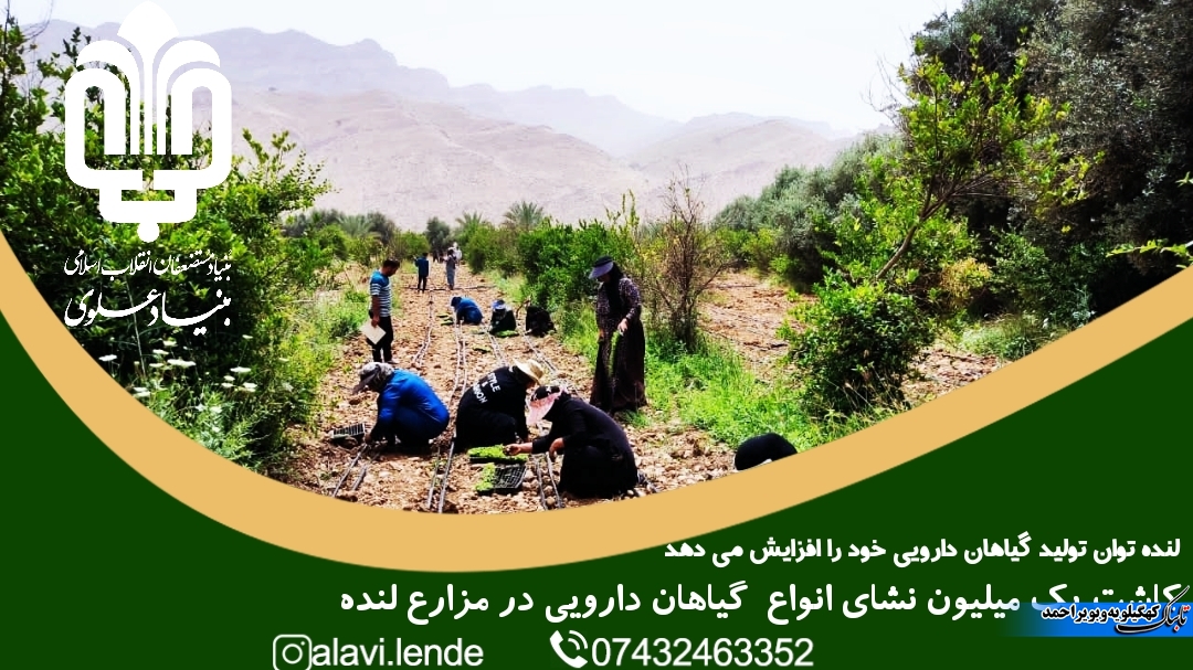 لنده، توان تولید « گیاهان دارویی» خود را افزایش میدهد/کاشت یک میلیون نشای گیاهان دارویی در سال ۱۴۰۱+فیلم