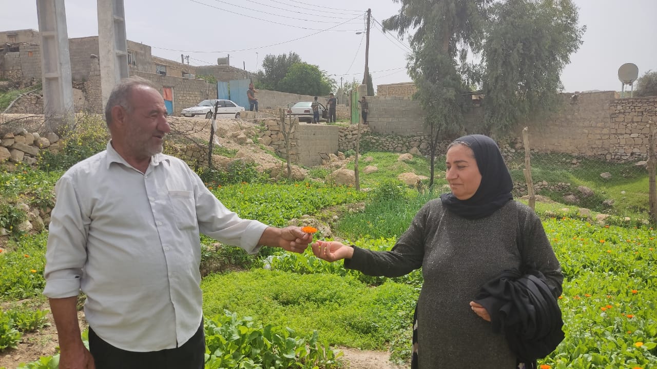لنده، توان تولید « گیاهان دارویی» خود را افزایش میدهد/کاشت یک میلیون نشای گیاهان دارویی در سال ۱۴۰۱+تصاویر+تصاویر لنده، توان تولید « گیاهان دارویی» خود را افزایش میدهد/کاشت یک میلیون نشای گیاهان دارویی در سال ۱۴۰۱+تصاویر+تصاویر
