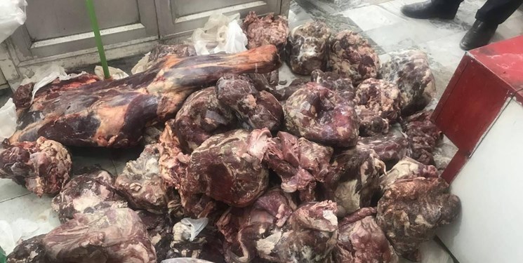 معدوم سازی بیش از 350 کیلوگرم فرآورده خام دامی غیرقابل مصرف در قزوین