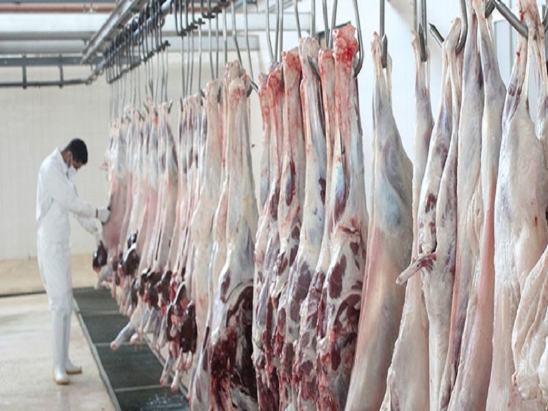 مقایسه کشتار دام در کشتارگاه با ذبح آن در منزل و کنار خیابان