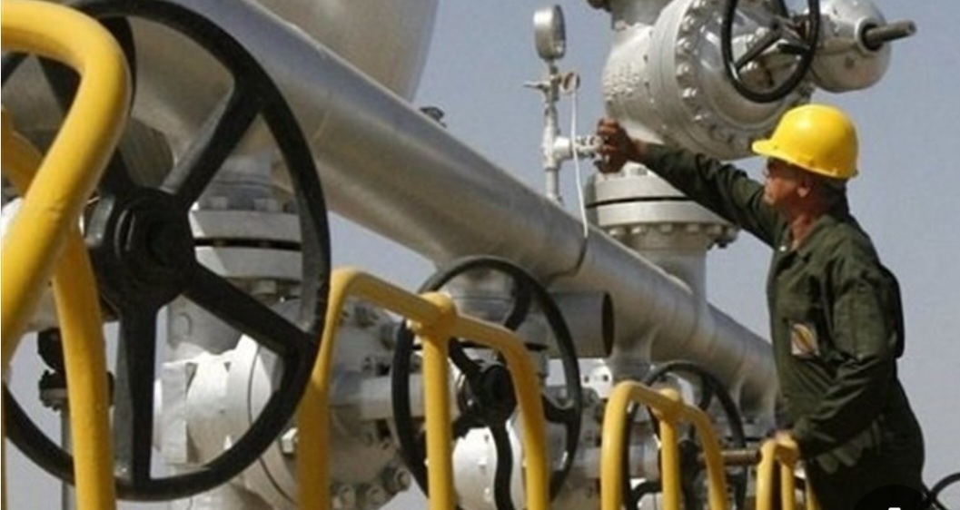 ۷۴ درصد گاز مصرفی استان بوشهر سهم پتروشیمیها است/ مصرف روزانه ۶۰ میلیون متر مکعب گاز در استان