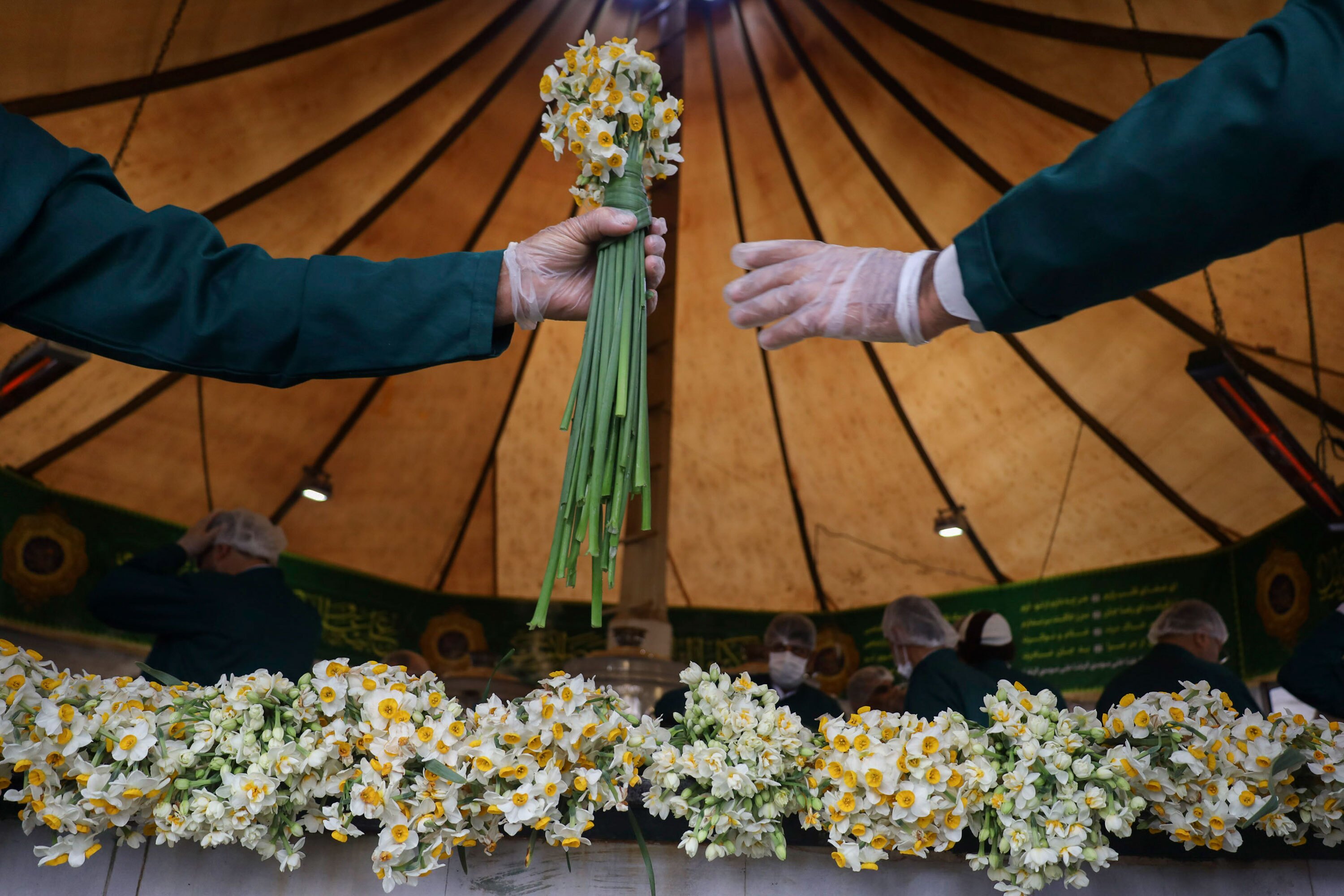 توزیع گل نرگس در چایخانه حرم مطهر رضوی