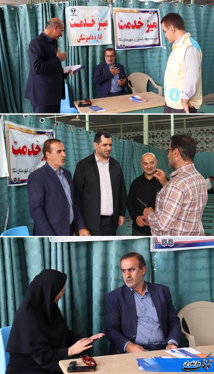 قتلِ سگِ هار در اسلام اشکالی ندارد/ برای کم شدن نسلِ سگ&zwnj;های دیگر به نحوی دیگر برخورد شود