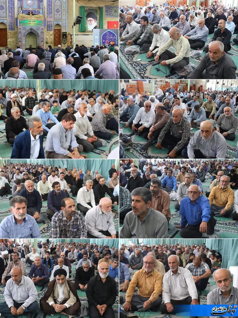 قتلِ سگِ هار در اسلام اشکالی ندارد/ برای کم شدن نسلِ سگ&zwnj;های دیگر به نحوی دیگر برخورد شود