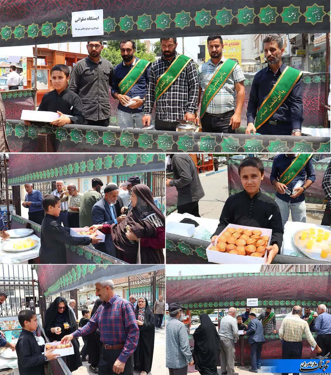 قتلِ سگِ هار در اسلام اشکالی ندارد/ برای کم شدن نسلِ سگ&zwnj;های دیگر به نحوی دیگر برخورد شود