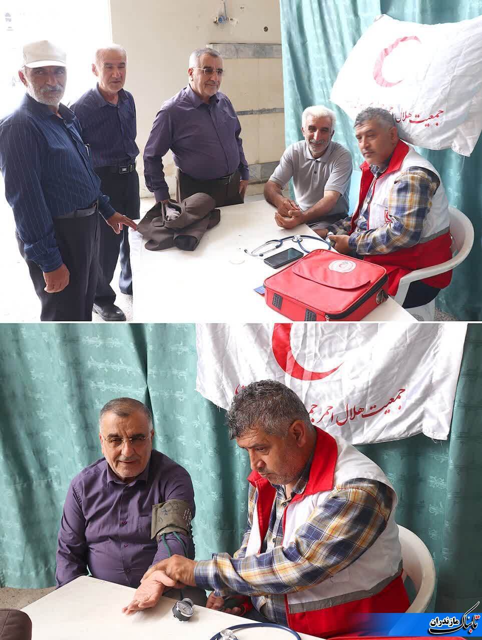 قتلِ سگِ هار در اسلام اشکالی ندارد/ برای کم شدن نسلِ سگ&zwnj;های دیگر به نحوی دیگر برخورد شود