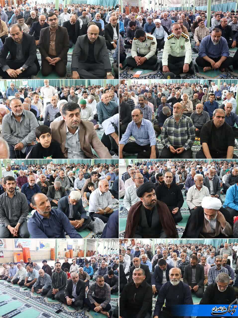 قتلِ سگِ هار در اسلام اشکالی ندارد/ برای کم شدن نسلِ سگ&zwnj;های دیگر به نحوی دیگر برخورد شود