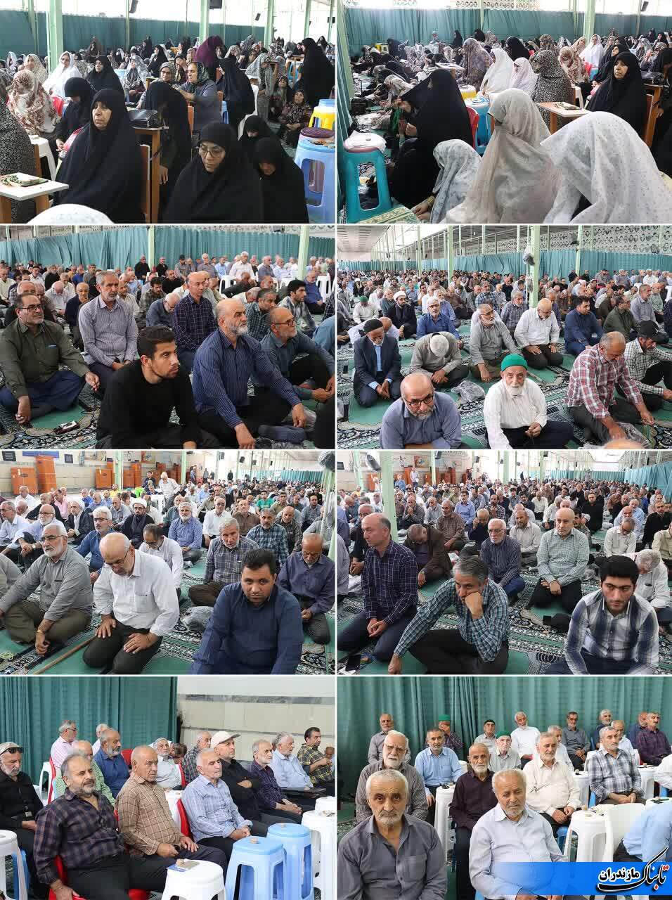 قتلِ سگِ هار در اسلام اشکالی ندارد/ برای کم شدن نسلِ سگ&zwnj;های دیگر به نحوی دیگر برخورد شود