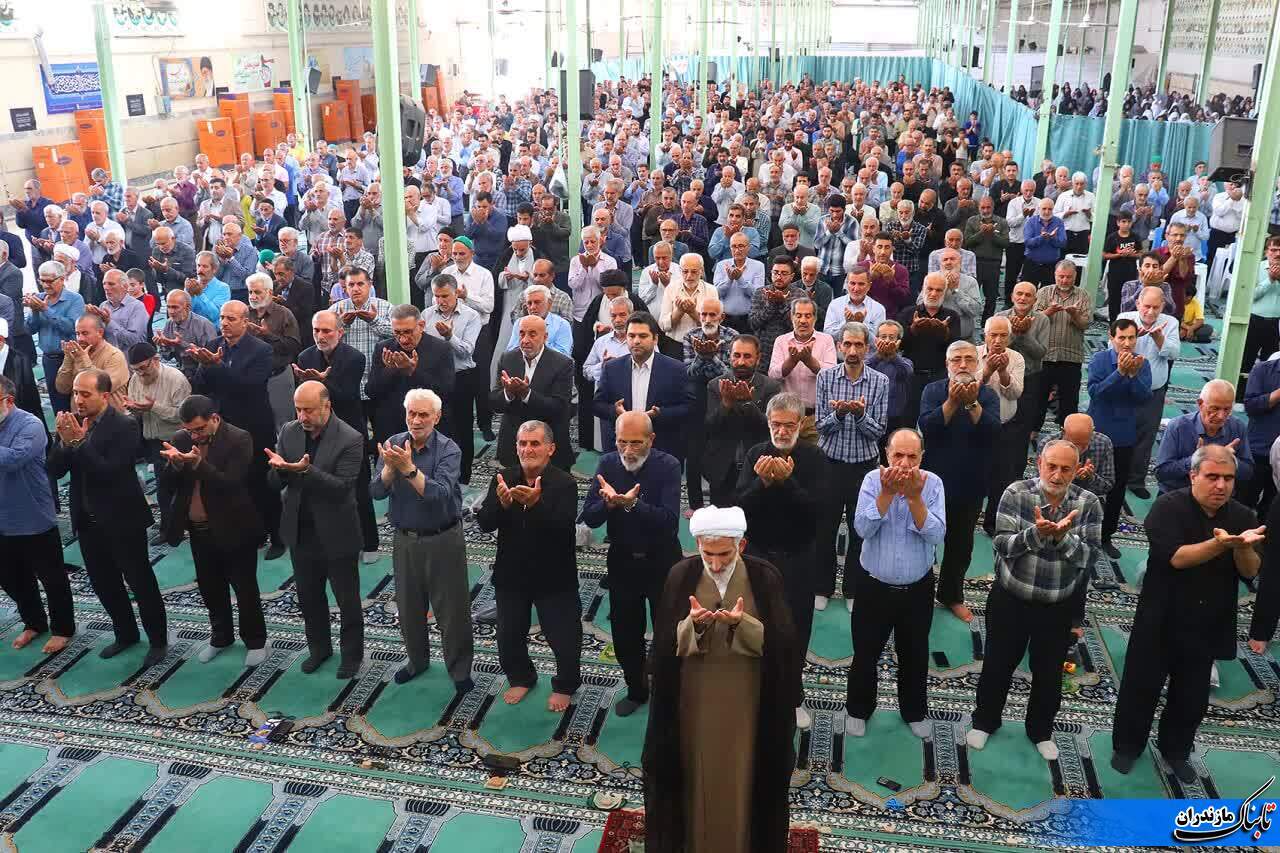 قتلِ سگِ هار در اسلام اشکالی ندارد/ برای کم شدن نسلِ سگ&zwnj;های دیگر به نحوی دیگر برخورد شود