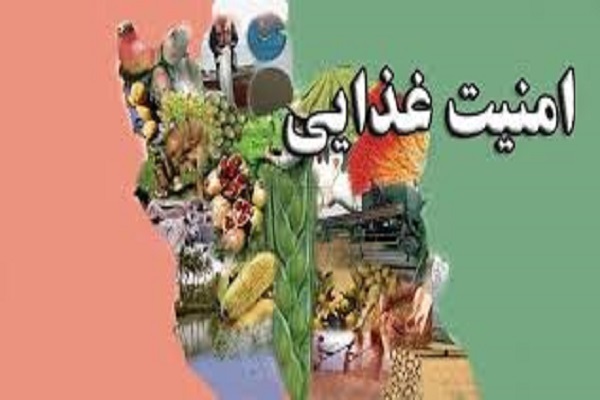 خودکفایی گندم در تأمین امنیت غذایی کشور مهم است؛ افزایش تولید گندم در کشور خودکفایی گندم در تأمین امنیت غذایی کشور مهم است؛ افزایش تولید گندم در کشور
