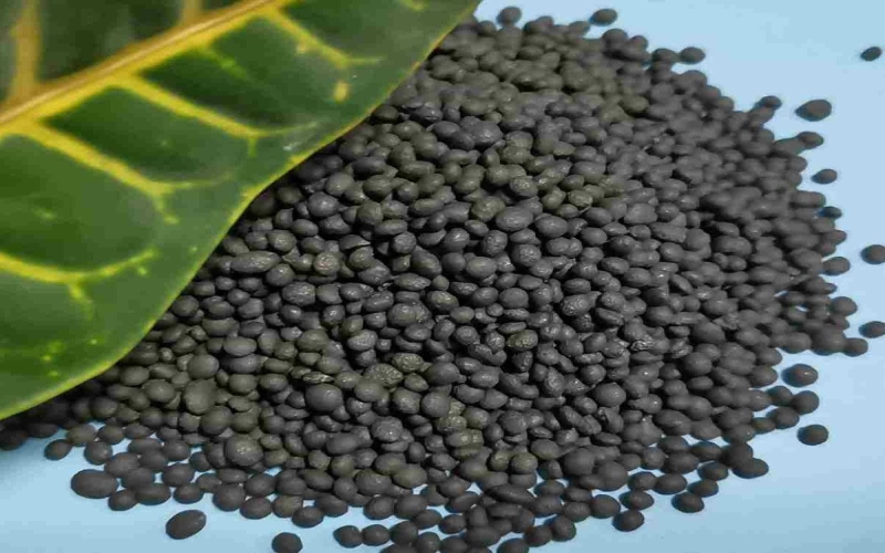 تامین بیش از ۳ هزار تن کود اوره در استان گلستان