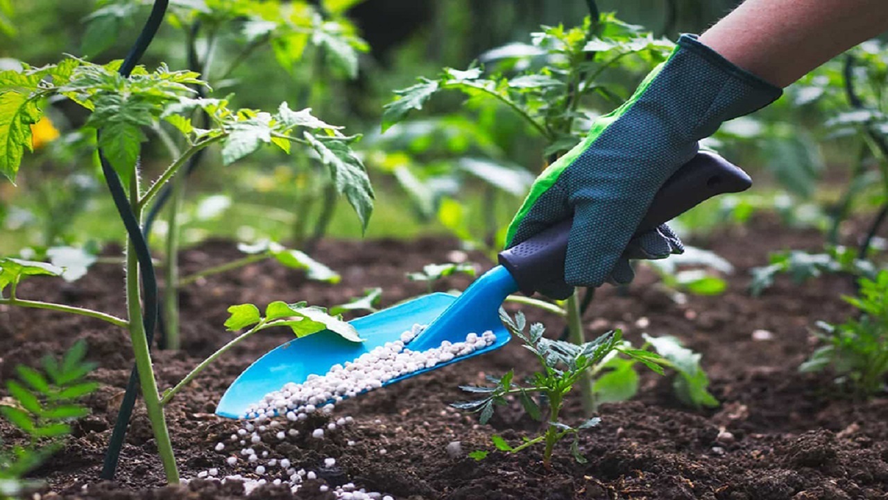 توزیع انواع کود‌های یارانه‌ای از طریق حواله الکترونیک در قم