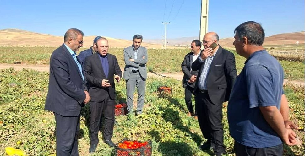 تصویب ۶۱ طرح اشتغال‌زایی و سرمایه‌گذاری در شهرستان کوثر