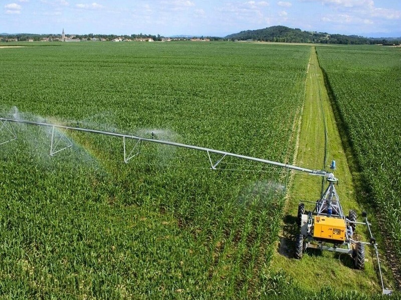 جهان خواهان محصولات غذایی ایرانی است/ 800 میلیون نفر در دنیا گرفتار سوء‌تغذیه هستند