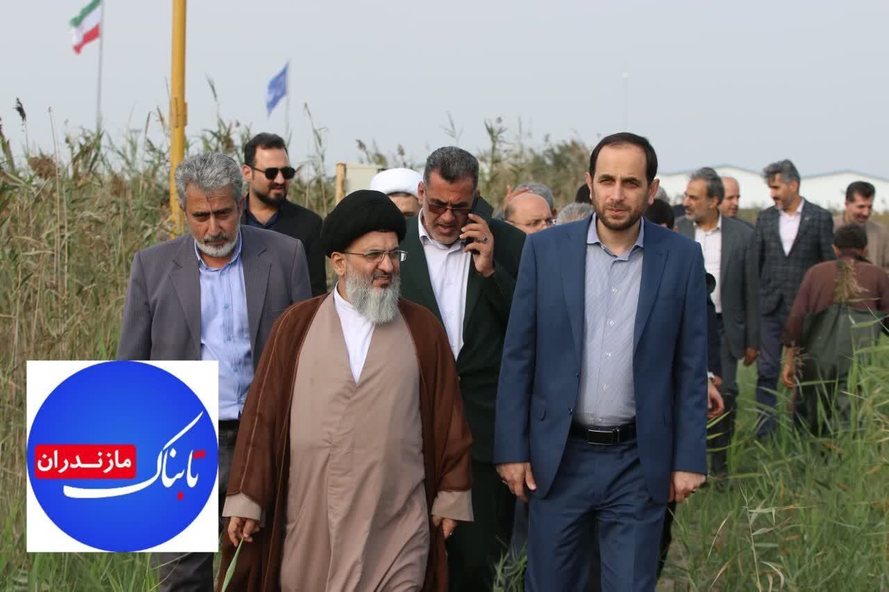 افزایش ظرفیت و تولید مزرعه تکثیر ماهیان گرمابی دانشگاه آزاد جویبار به ۲ میلیون قطعه