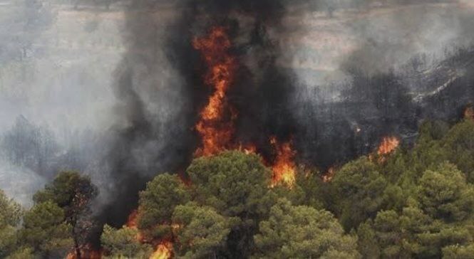 آتشسوزی در جنگل هیرکانی گسترش یافت/ اعزام هواپیمای اطفای حریق بعد از 19 روز! آتشسوزی در جنگل هیرکانی گسترش یافت/ اعزام هواپیمای اطفای حریق بعد از 19 روز!